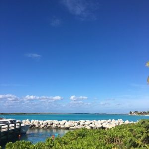 Meet your Posher, Celeste